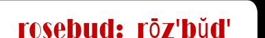 rosebud pronounciation