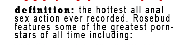 definition: the hottest all anal sex action ever recorded. 